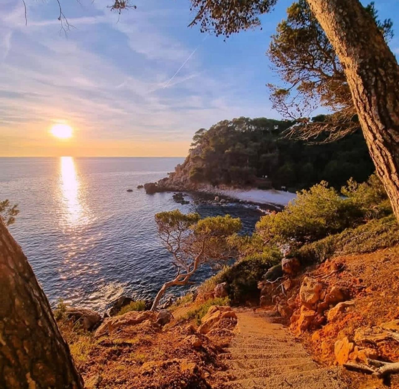 Logement Vue Mer Splendide - Situe A 50 Metres Du Bord De Mer Et 2 Minutes Des Plages - Bandolina Kültér fotó