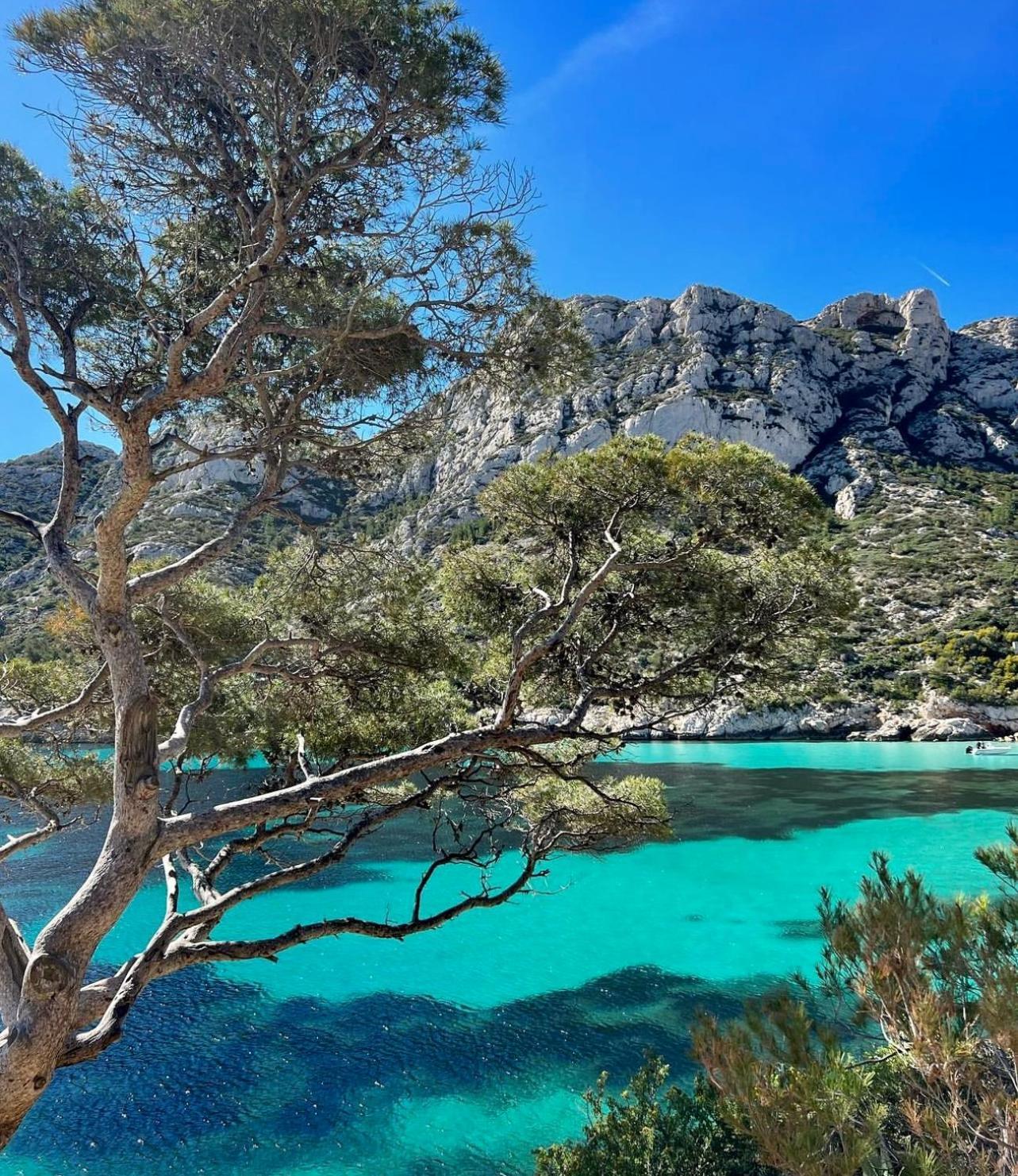 Logement Vue Mer Splendide - Situe A 50 Metres Du Bord De Mer Et 2 Minutes Des Plages - Bandolina Kültér fotó