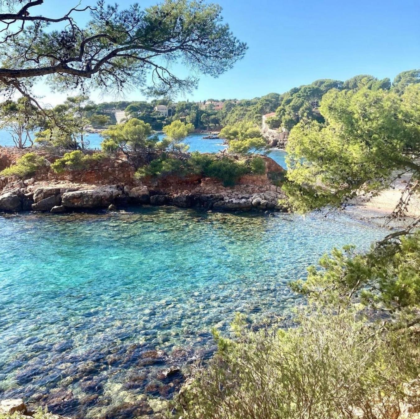 Logement Vue Mer Splendide - Situe A 50 Metres Du Bord De Mer Et 2 Minutes Des Plages - Bandolina Kültér fotó